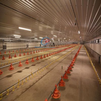 Budynki stalowe ekonomiczne Budynki stalowe na zamówienie Budownictwo