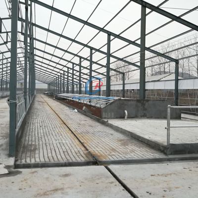 Trwałe budynki z stalowych ram budowlanych budynki rolnicze