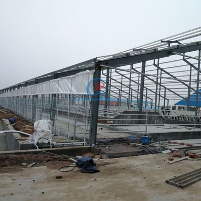 Prefabrykowana konstrukcja stalowa Skarb krowiego