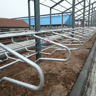Konstrukcja stalowa na zamówienie Budowla stodoły krowiego budynku prefabrykowane bydło mleczarstwo